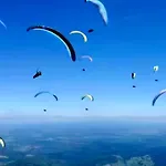 Hébergement de vacances Le Refuge Alsace Au Pied Des Vosges Animaux Ok *