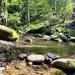 Le Refuge Alsace Au Pied Des Vosges Animaux Ok Urbès