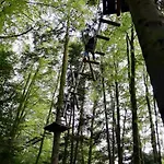 Le Refuge Alsace Aux Pieds Des Vosges Animaux Ok 펜션 Urbès