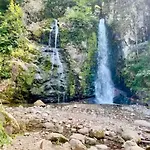 Hébergement de vacances Le Refuge Alsace Au Pied Des Vosges Animaux Ok *
