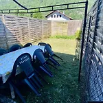 Le Refuge Alsace Au Pied Des Vosges Animaux Ok * Urbès