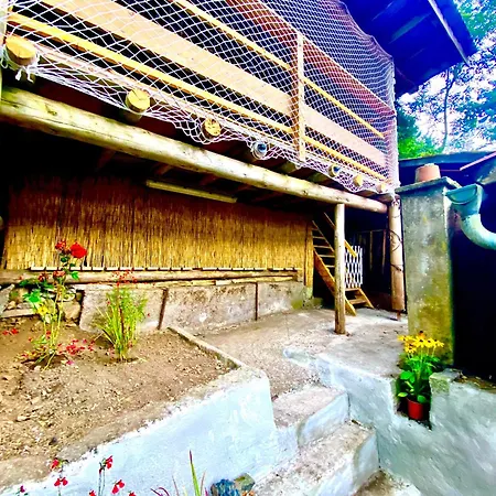 Le Refuge Alsace Au Pied Des Vosges Animaux Ok