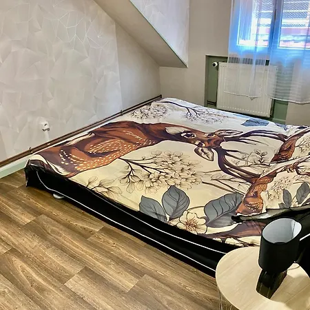 Le Refuge Alsace Au Pied Des Vosges Animaux Ok Urbès