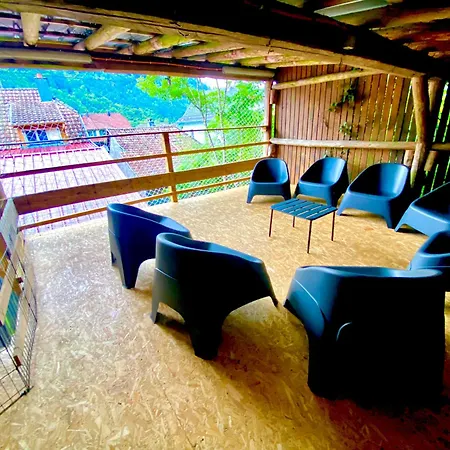Le Refuge Alsace Aux Pieds Des Vosges Animaux Ok Casa de Férias