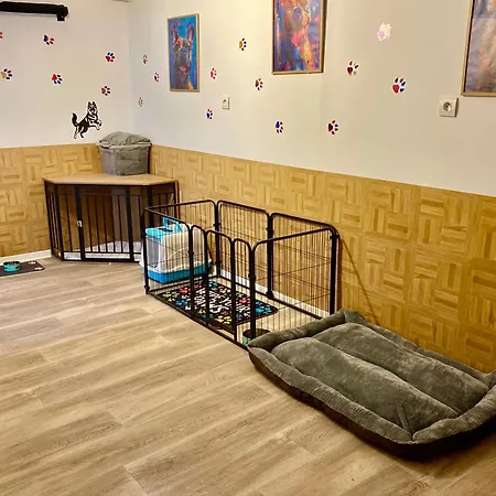 Le Refuge Alsace Au Pied Des Vosges Animaux Ok