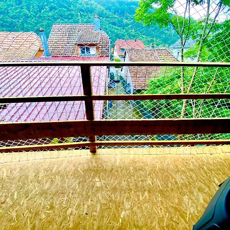Ferienhaus Le Refuge Alsace Aux Pieds Des Vosges Animaux Ok