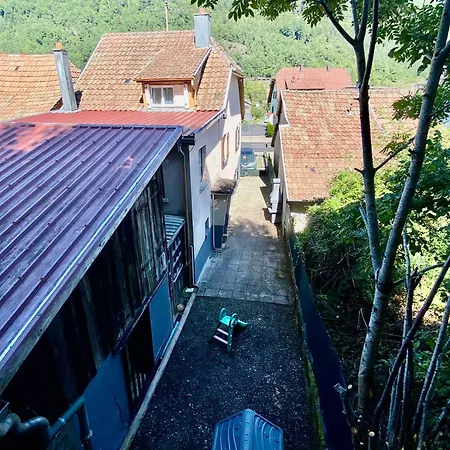 Le Refuge Alsace Aux Pieds Des Vosges Animaux Ok Casa de Férias