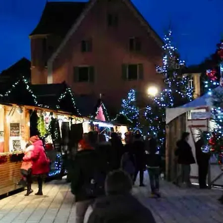 Le Refuge Alsace Aux Pieds Des Vosges Animaux Ok Casa de Férias