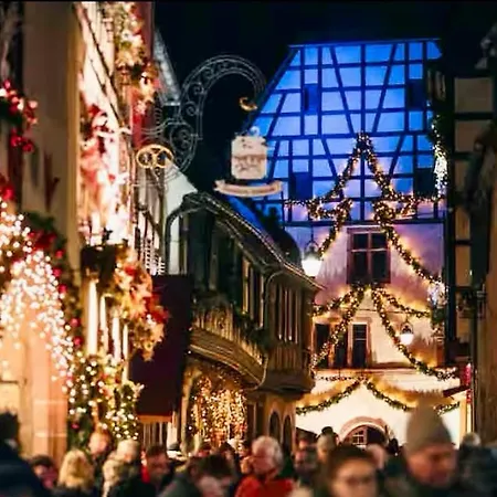 Le Refuge Alsace Au Pied Des Vosges Animaux Ok Hébergement de vacances Urbès