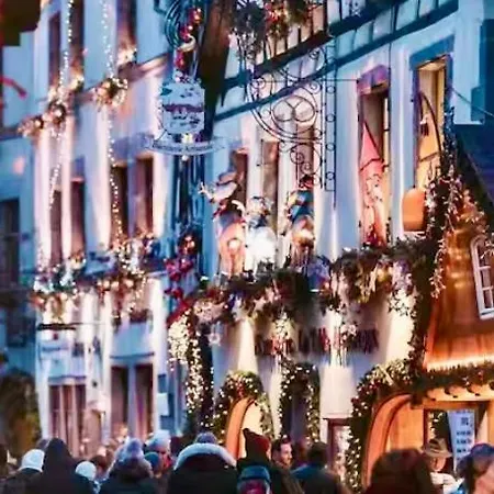 Le Refuge Alsace Au Pied Des Vosges Animaux Ok Urbès
