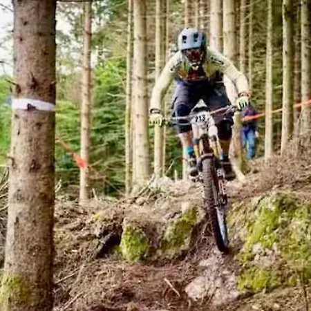 Le Refuge Alsace Aux Pieds Des Vosges Animaux Ok Urbès