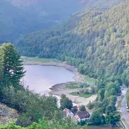 Le Refuge Alsace Au Pied Des Vosges Animaux Ok Urbès