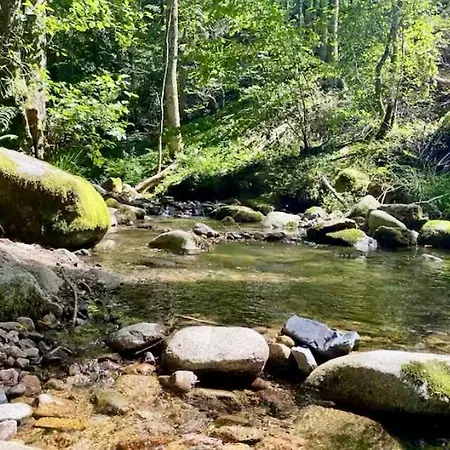 Le Refuge Alsace Au Pied Des Vosges Animaux Ok Urbès