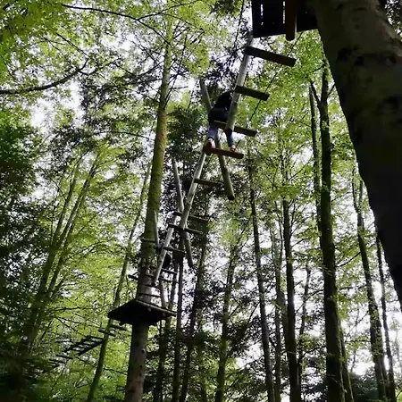 Le Refuge Alsace Aux Pieds Des Vosges Animaux Ok Casa de Férias Urbès