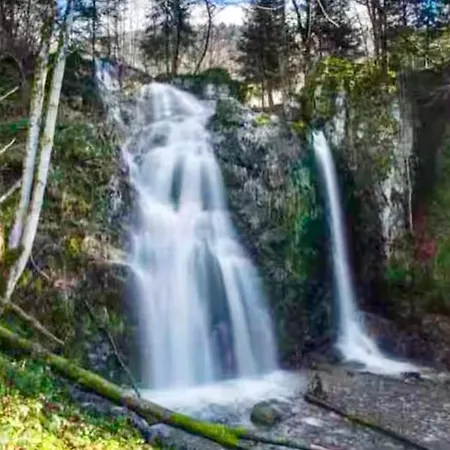 Le Refuge Alsace Au Pied Des Vosges Animaux Ok